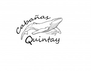 logo1 (1)
